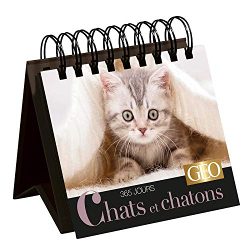 Chats et chatons : 365 jours