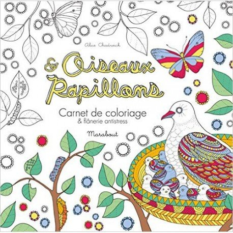 Oiseaux & papillons : carnet de coloriage & flânerie antistress