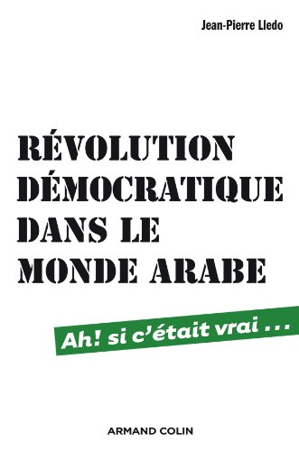 Révolution démocratique dans le monde arabe : ah ! si c'était vrai...