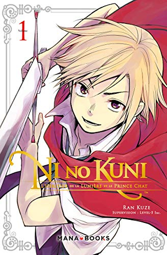 Ni No Kuni T01 (01)