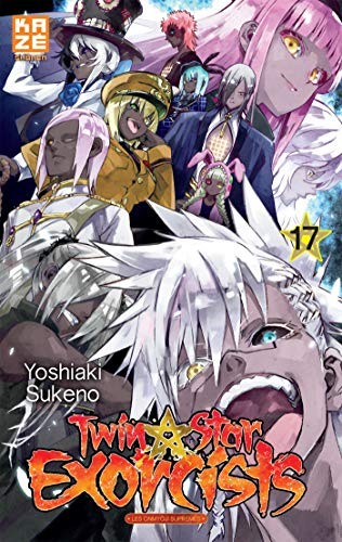 Twin star exorcists. Vol. 17