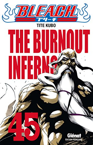 Bleach. Vol. 45. The burnout inferno