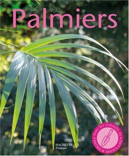 Palmiers : des variétés pour l'appartement, le balcon, la terrasse et le jardin, les conseils d'une 