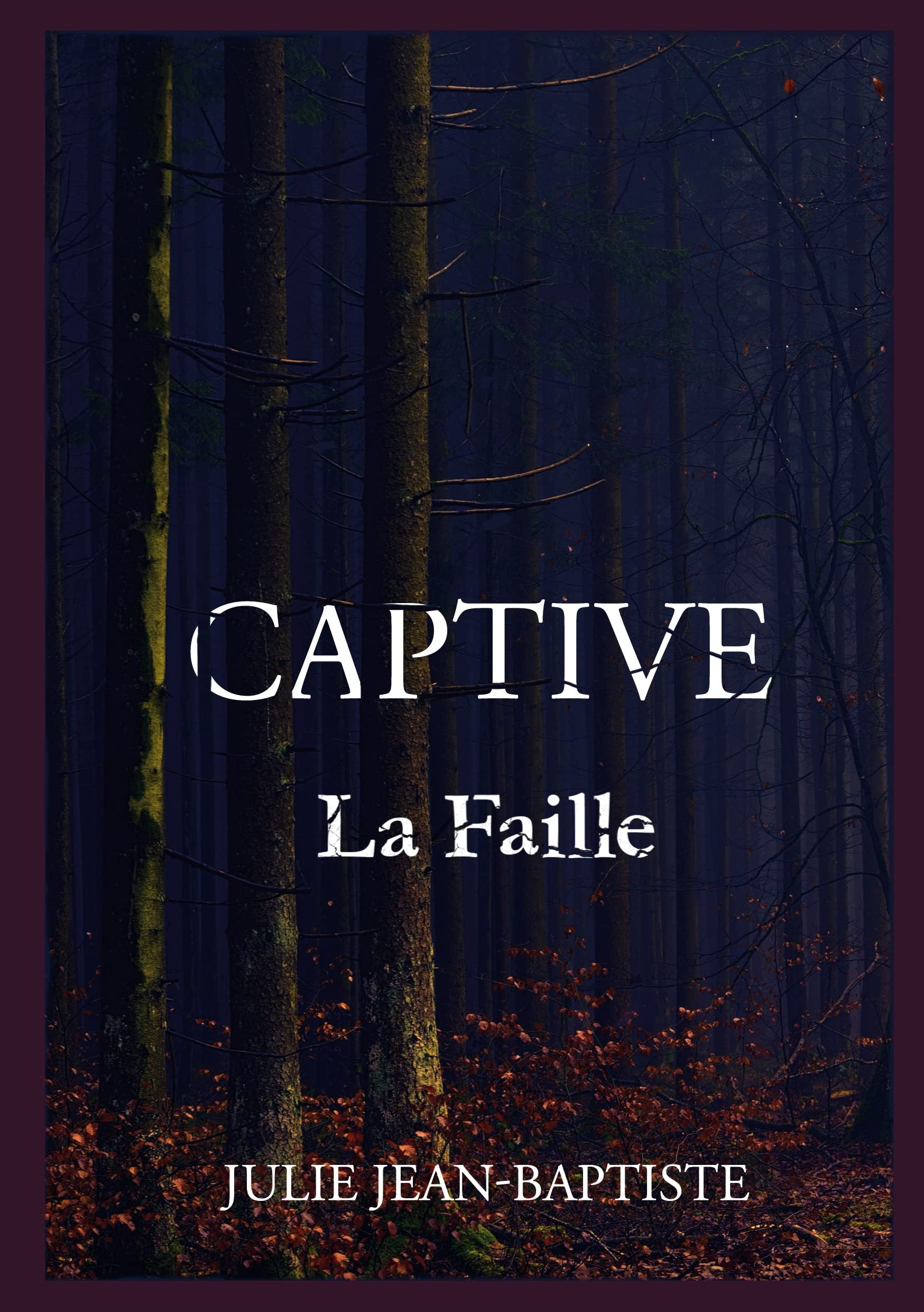 Captive : La Faille : Tome 2
