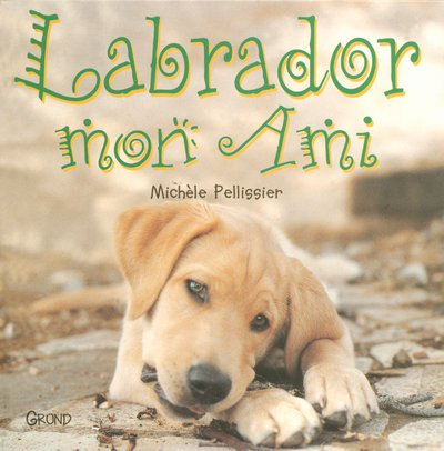 Labrador mon ami