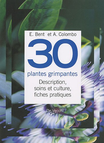 30 plantes grimpantes : description, soins et culture, fiches pratiques