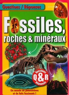 questions/réponses: fossiles, roches et minéraux