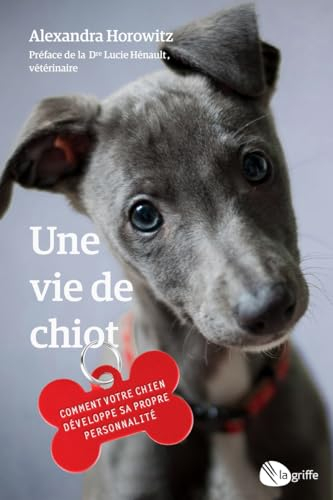 Une vie de chiot : Comment votre chien développe sa propre personnalité