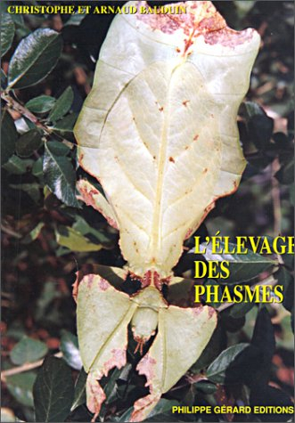 L'élevage des phasmes