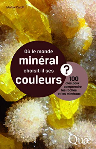 Où le monde minéral choisit-il ses couleurs ? : 100 clés pour comprendre les roches et les minéraux