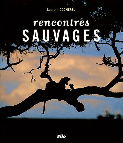 Rencontres sauvages