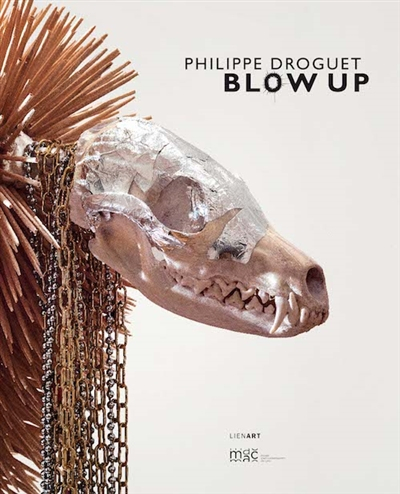 Philippe Droguet : Blow up : exposition, Lyon, Musée d'art contemporain, du 25 mai au 21 juillet 201