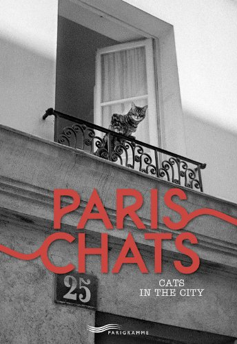 Paris chats. Cats in the city