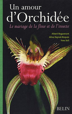 Un amour d'orchidées : le mariage de la fleur et de l'insecte
