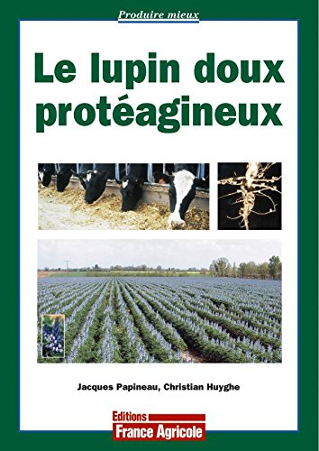 Le lupin doux protéagineux : une source de protéines à découvrir