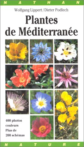 plantes de méditerranée