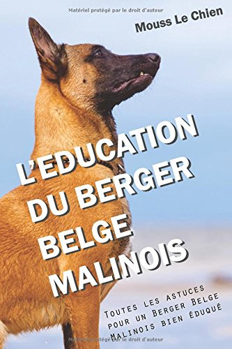 l'education du berger belge malinois: toutes les astuces pour un berger belge malinois bien éduqué