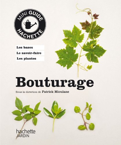 Bouturage : division, marcottage