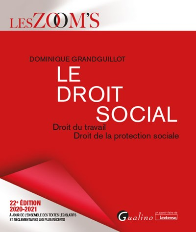 Le droit social : droit du travail, droit de la protection sociale : 2020-2021