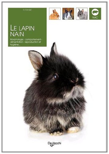 Le lapin nain