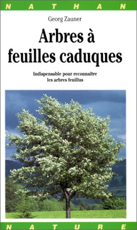 Arbres à feuilles caduques : indispensable pour reconnaître les arbres feuillus
