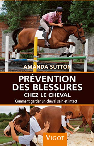 Prévention des blessures chez le cheval : comment garder un cheval sain et intact