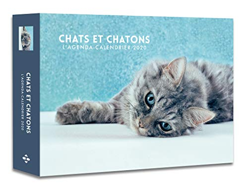 Chats et chatons : l'agenda-calendrier 2020