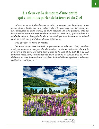 Le message de la fleur : les sentiers de la métamorphose