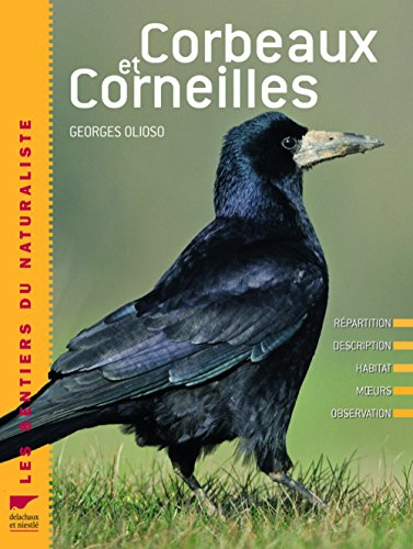 Corbeaux et corneilles : répartition, description, habitat, moeurs, observation