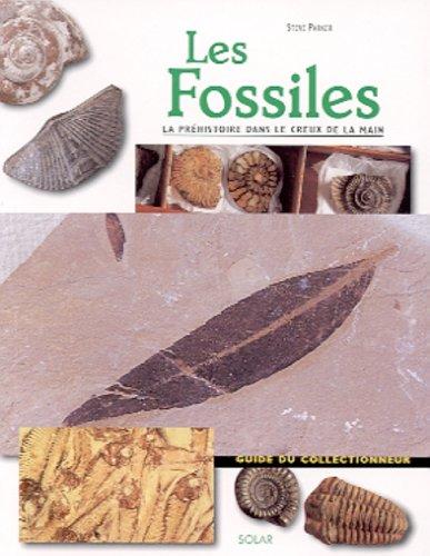 Les fossiles : la préhistoire dans le creux de la main