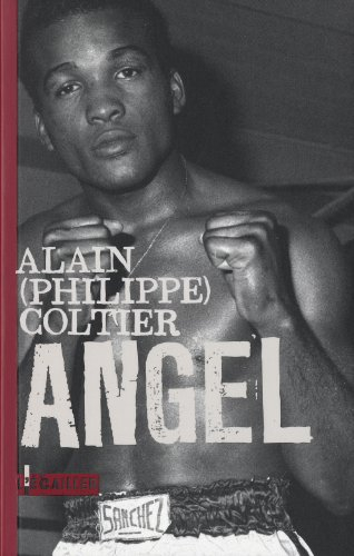 Angel : brother boxer, en kit