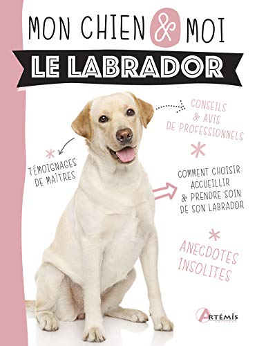 Le labrador