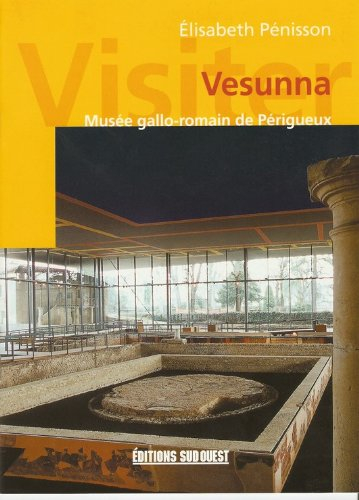 Visiter Vesunna : Musée gallo-romain de Périgueux