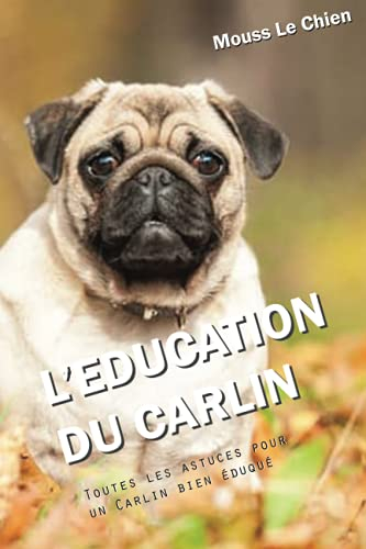 L'EDUCATION DU CARLIN: Toutes les astuces pour un Carlin bien éduqué