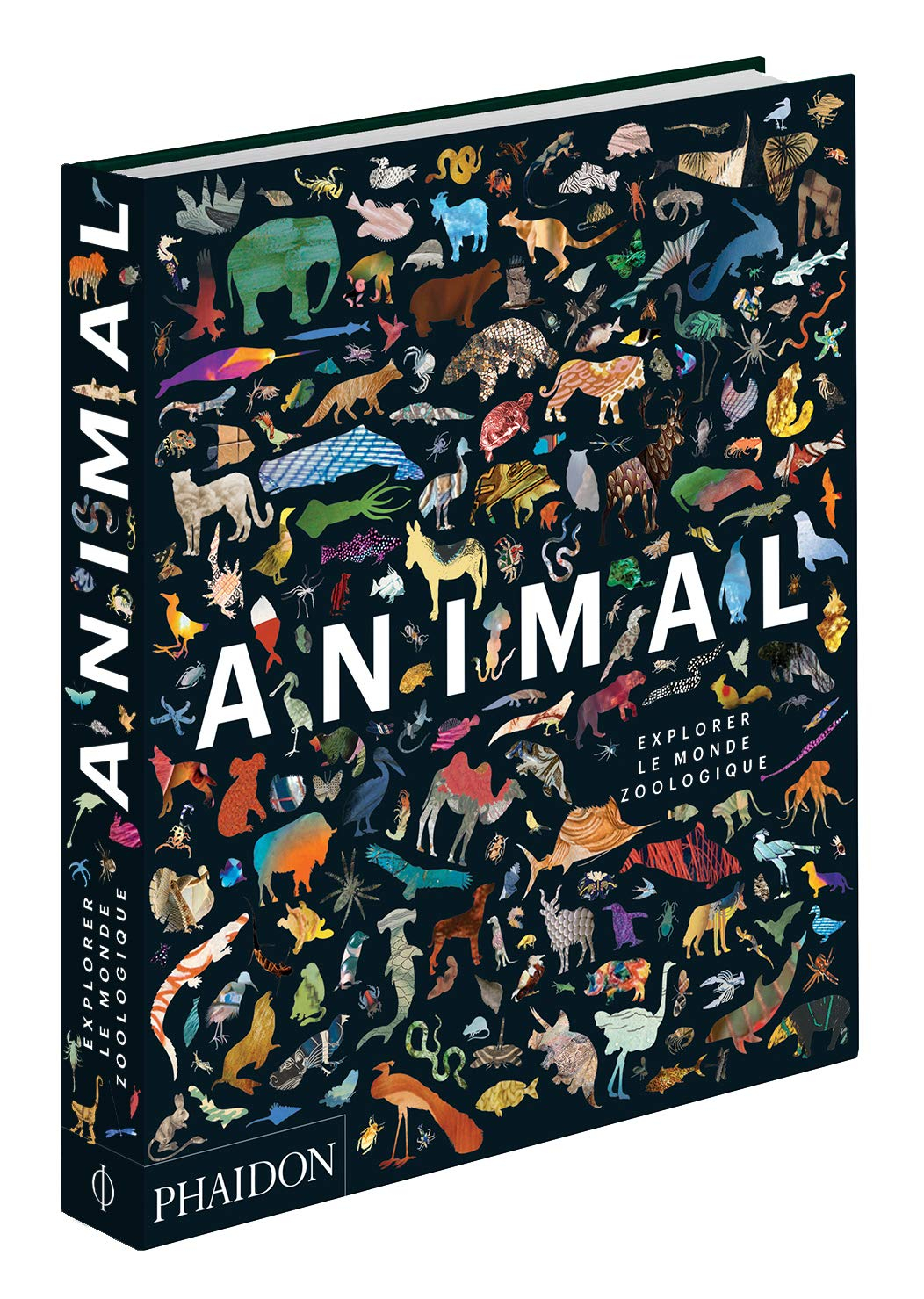 Animal : explorer le monde zoologique