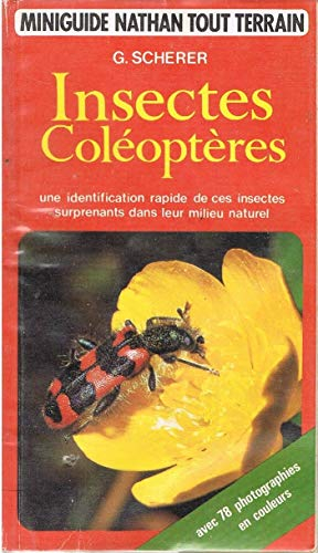 Insectes coléoptères