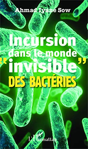 Incursion dans le monde invisible des bactéries