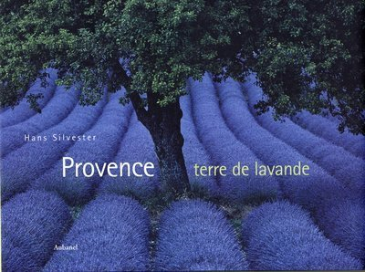 Provence : terre de lavande