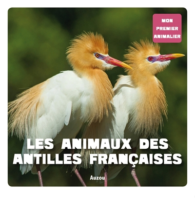 Les animaux des Antilles françaises