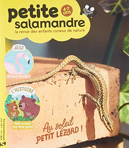 Petite Salamandre n.36 - Lézard: Juin - Juillet 2021