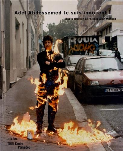 Adel Abdessemed Je suis innocent : exposition, Paris, Centre Pompidou, Galerie Sud, 3 octobre 2012-7
