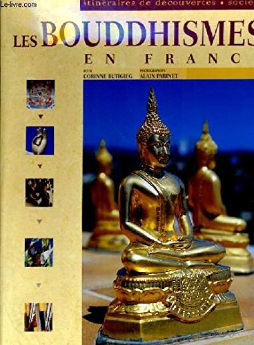 Les bouddhismes en France