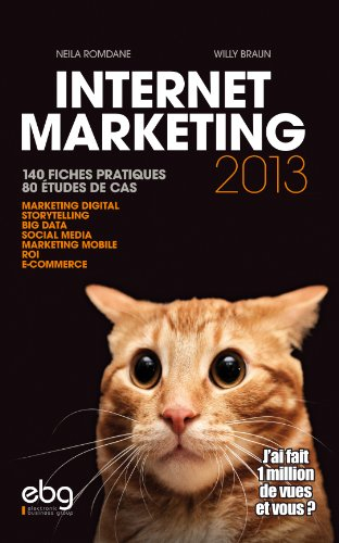 Internet marketing 2013 : 140 fiches pratiques, 80 études de cas