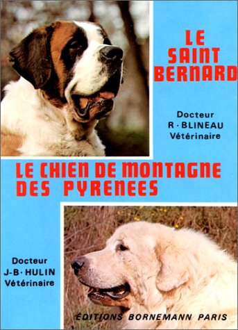 Le Saint-Bernard : le chien de montagne des Pyrénées
