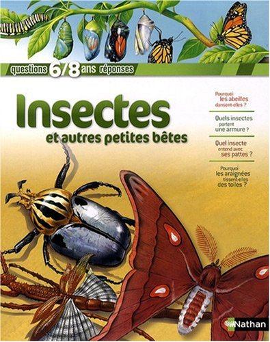 Insectes et autres petites bêtes