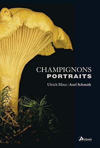 Champignons : portraits