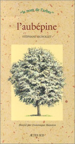 L'aubépine