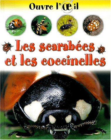 Les scarabées et les coccinelles