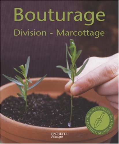 Bouturage, division, marcottage