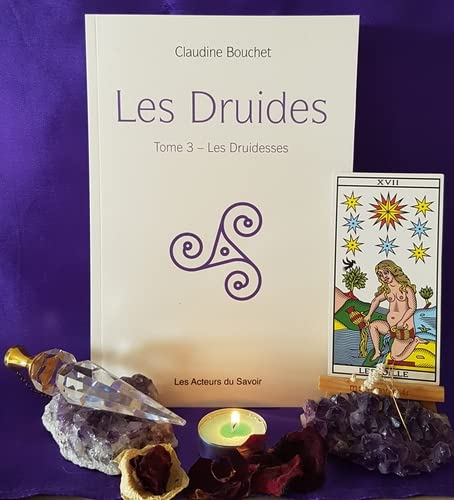 Les druides. Vol. 3. Les druidesses